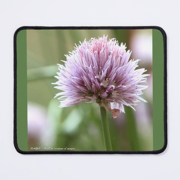 Item preview, A chive flower designed and sold by Brudel.