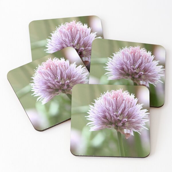 Item preview, A chive flower designed and sold by Brudel.