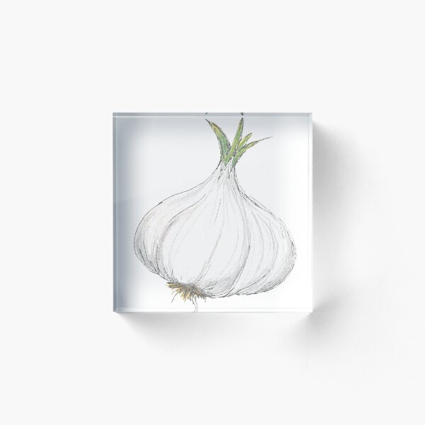 Head of Garlic Acrylic Block