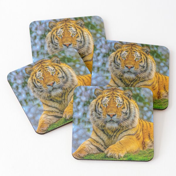 Item preview, Siberian Tiger Stare designed and sold by Dalyndigital Photography.