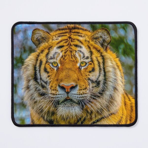 Item preview, Siberian Tiger Stare designed and sold by Dalyndigital Photography.