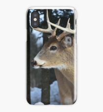White Tail Deer iPhone Case/Skin