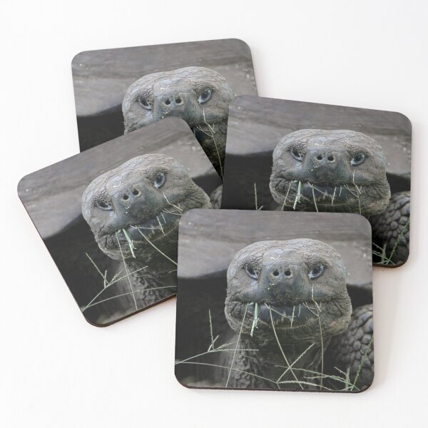 Item preview, Giant Tortoise designed and sold by Carol Bock.