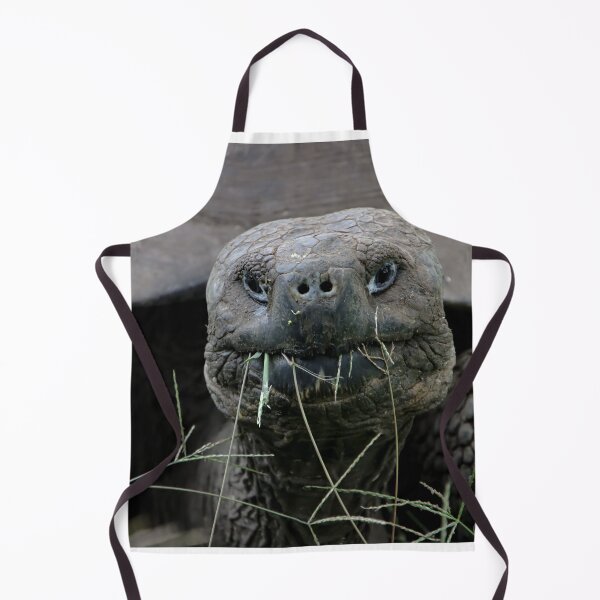Item preview, Giant Tortoise designed and sold by Carol Bock.
