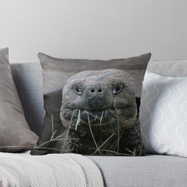 Item preview, Giant Tortoise designed and sold by Carol Bock.