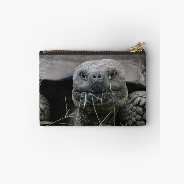 Item preview, Giant Tortoise designed and sold by Carol Bock.