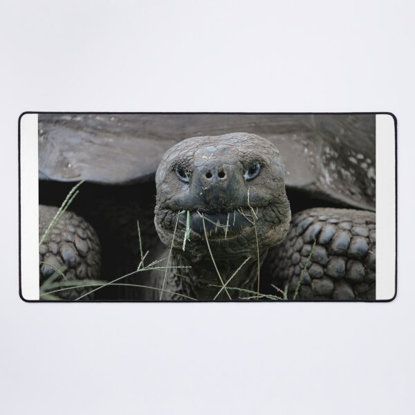 Item preview, Giant Tortoise designed and sold by Carol Bock.