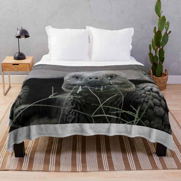 Item preview, Giant Tortoise designed and sold by Carol Bock.