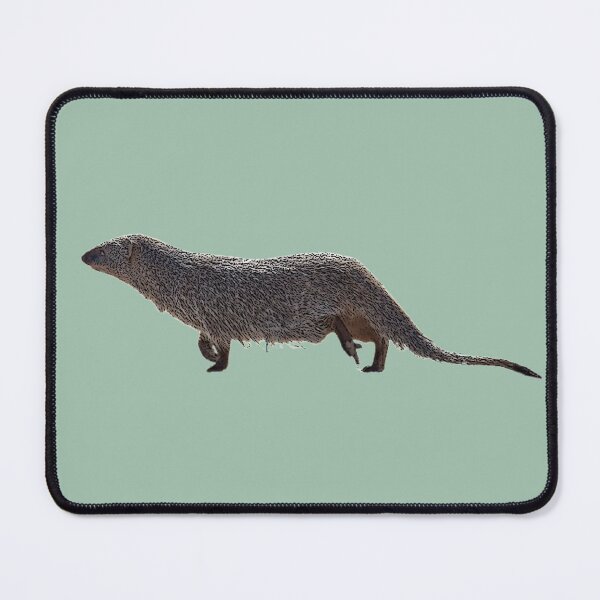 Item preview, Egyptian Mongoose Color Design designed and sold by designsasstultd.