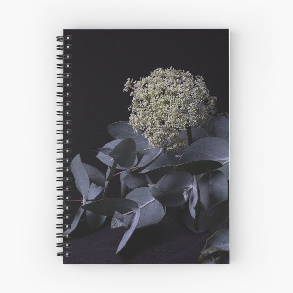 Item preview, Silver midnight designed and sold by Bradie B Photography.