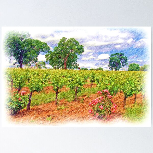 Item preview, Vineyard Roses designed and sold by Sally White.