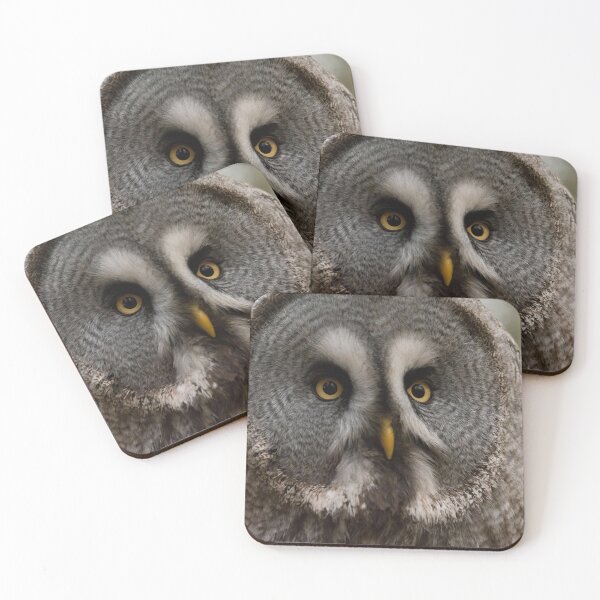 Item preview, Great Grey Owl designed and sold by Tony Skerl.