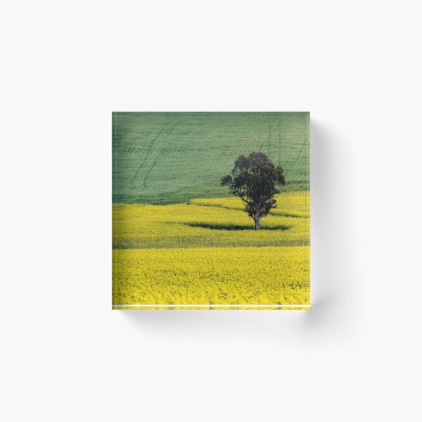 Item preview, Canola Field w / Single Tree, York WA designed and sold by Sandra Chung.