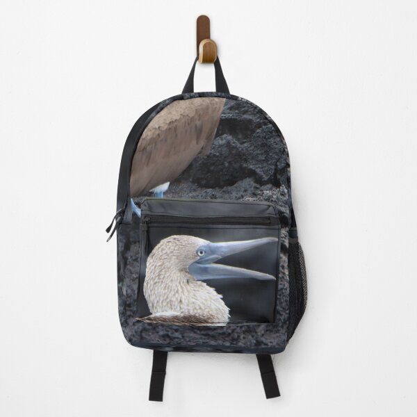 Item preview, Blue Footed Booby designed and sold by Carol Bock.