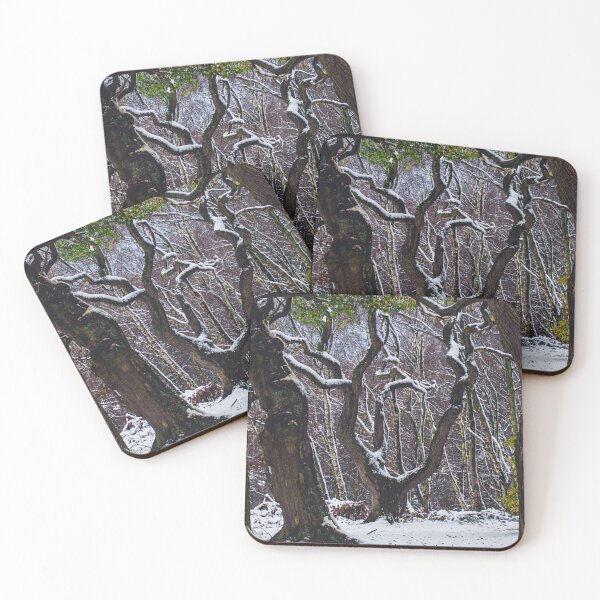 Item preview, Snowy Oak designed and sold by Ryan Dale.