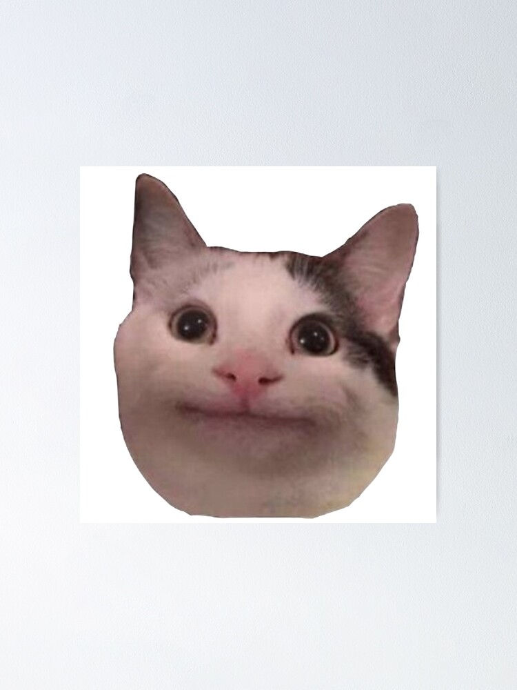 Smiling Beluga Cat Meme Face | Poster