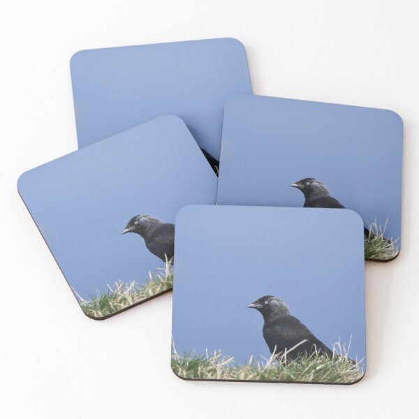 Item preview, Jackdaw designed and sold by rwhooster.