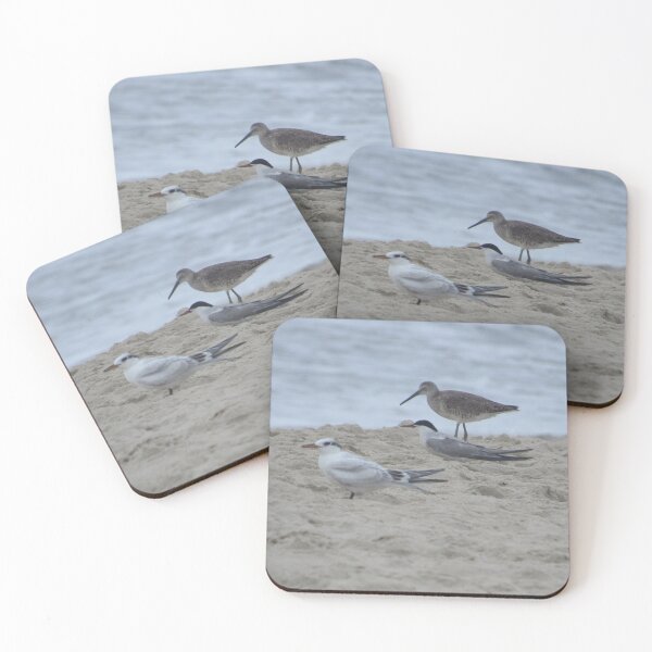 Item preview, Willet be the tern of the century? designed and sold by laceyyyann34.