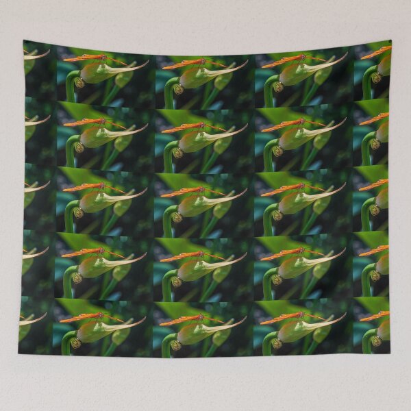 Item preview, Julia Heliconian butterfly, (Dryas Iulia) designed and sold by Eyal Nahmias.