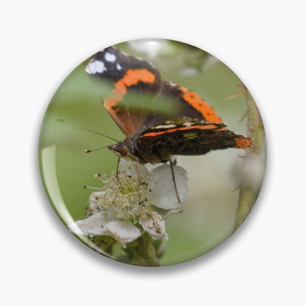 Artikelvorschau, Roter Admiral-Schmetterling auf einer Brombeerblume entworfen und verkauft von rwhooster.