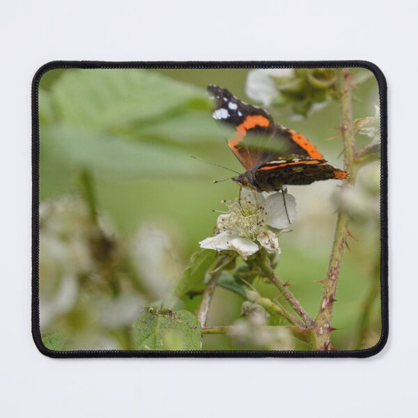 Item preview, Red Admiral Butterfly on a Blackberry Flower designed and sold by rwhooster.