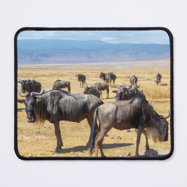 Item preview, Wildebeest herd at Ngorongoro Crater in Tanzania designed and sold by SafariByMarisa.