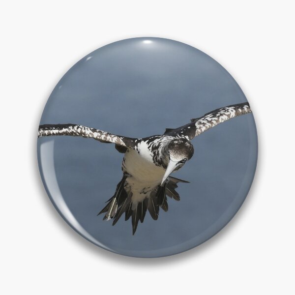 Item preview, Flying Gannet designed and sold by rwhooster.