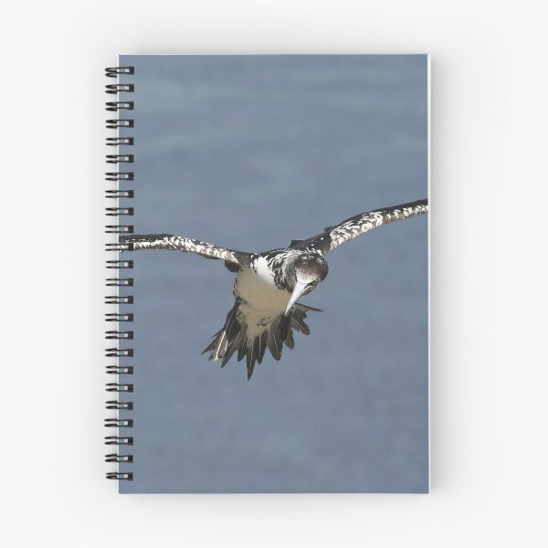 Item preview, Flying Gannet designed and sold by rwhooster.
