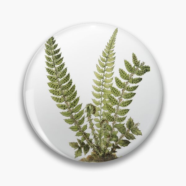 Item preview, Vintage Fern Design Holly Fern Scientific Journal Page designed and sold by Wenkatdesigns.