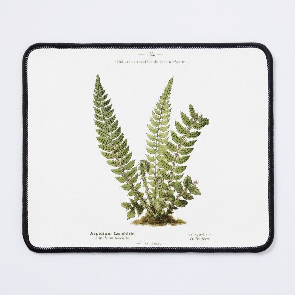 Item preview, Vintage Fern Design Holly Fern Scientific Journal Page designed and sold by Wenkatdesigns.