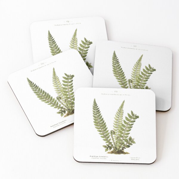 Item preview, Vintage Fern Design Holly Fern Scientific Journal Page designed and sold by Wenkatdesigns.