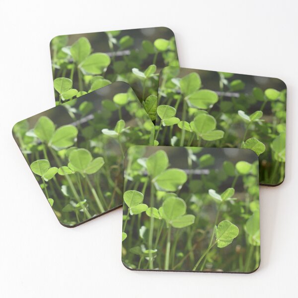 Item preview, Fresh green clovers in the summer designed and sold by mariya-ivanova.