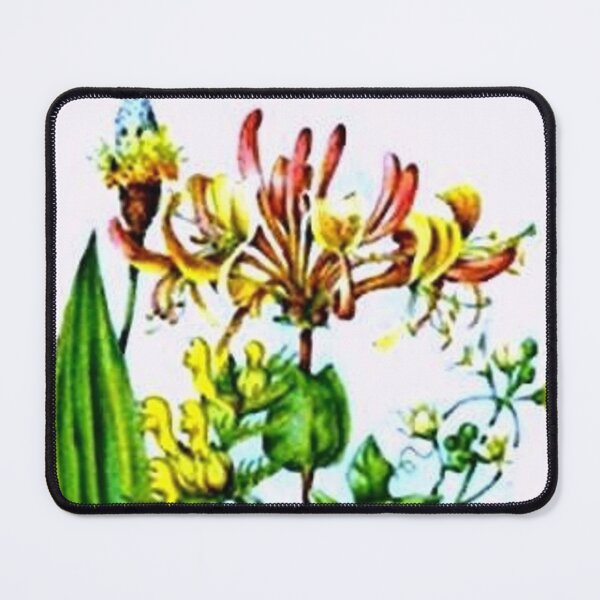 Item preview, Vintage Wildflowers designed and sold by SaraValor.