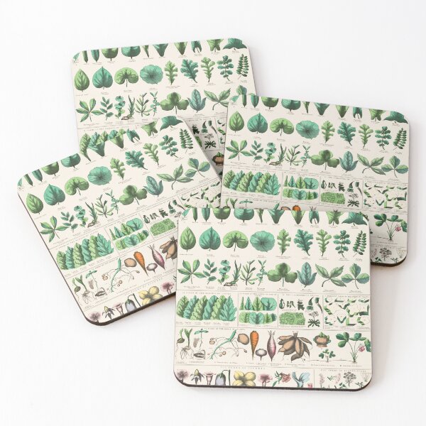 Item preview, Botanical Vintage Plants - School and Family Charts (1890) designed and sold by TamDigitalPrint.