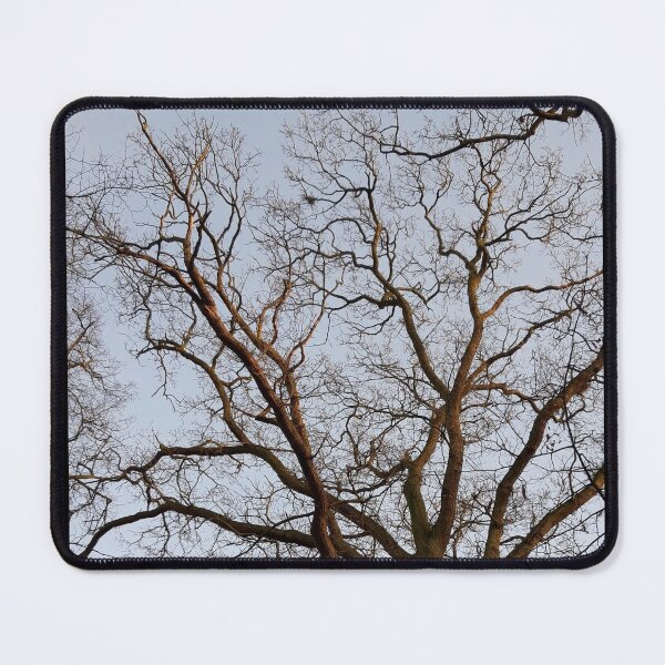Item preview, Tree designed and sold by amanda150771.