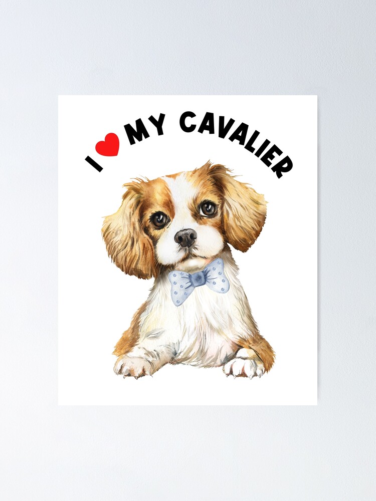 I love my cavalier king hot sale charles spaniel