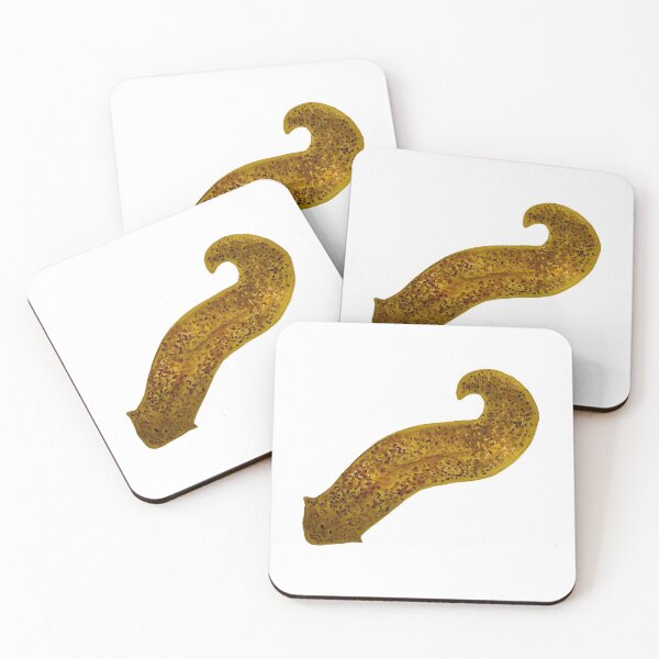 Item preview, Planarian Flatworm Microbiology Watercolor Illustration designed and sold by ModelOrganism.