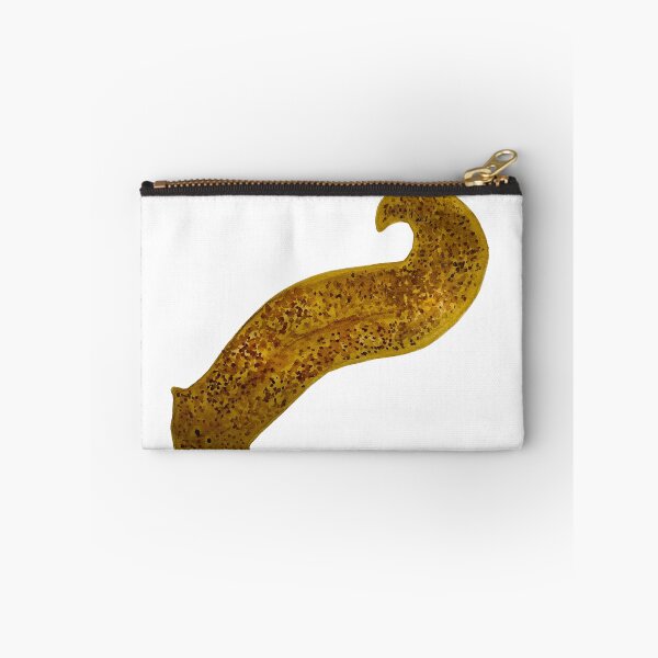 Item preview, Planarian Flatworm Microbiology Watercolor Illustration designed and sold by ModelOrganism.