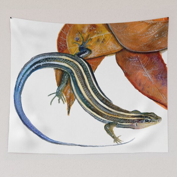 Item preview, Five Lined Skink designed and sold by Mal Muratori.
