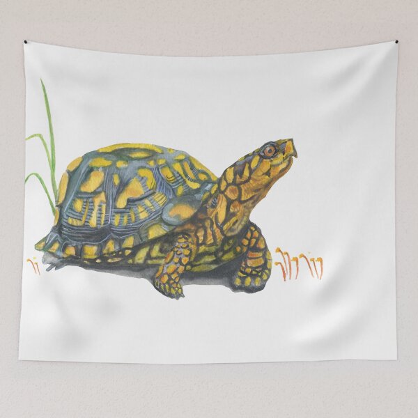 Item preview, Eastern Box Turtle designed and sold by Mal Muratori.