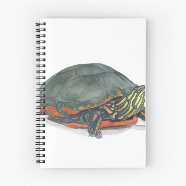 Item preview, Eastern Painted Turtle designed and sold by Mal Muratori.
