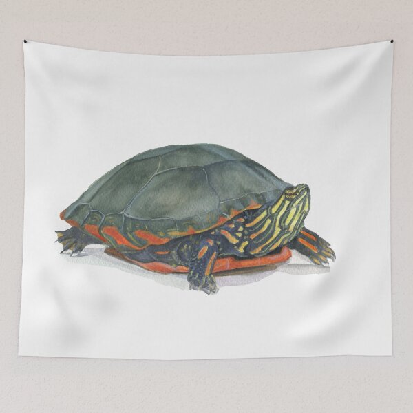 Item preview, Eastern Painted Turtle designed and sold by Mal Muratori.