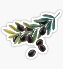 Watercolor black olive branch Sticker