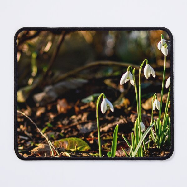 Item preview, Snowdrops in Spring 2020 designed and sold by GBM86.