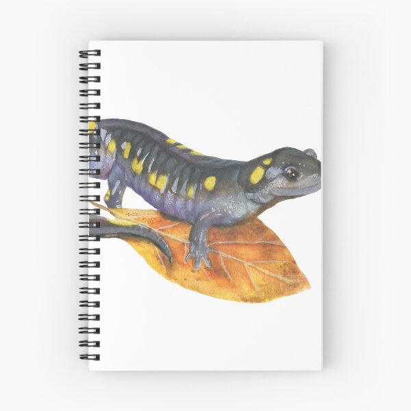 Item preview, Spotted Salamander designed and sold by Mal Muratori.