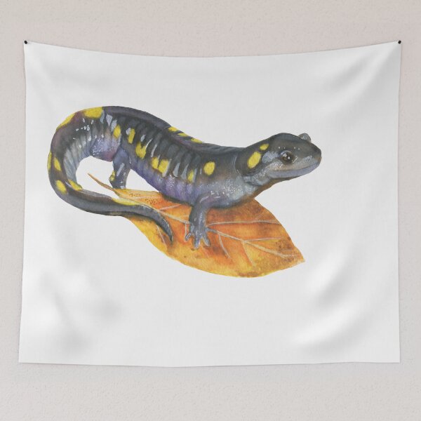 Item preview, Spotted Salamander designed and sold by Mal Muratori.