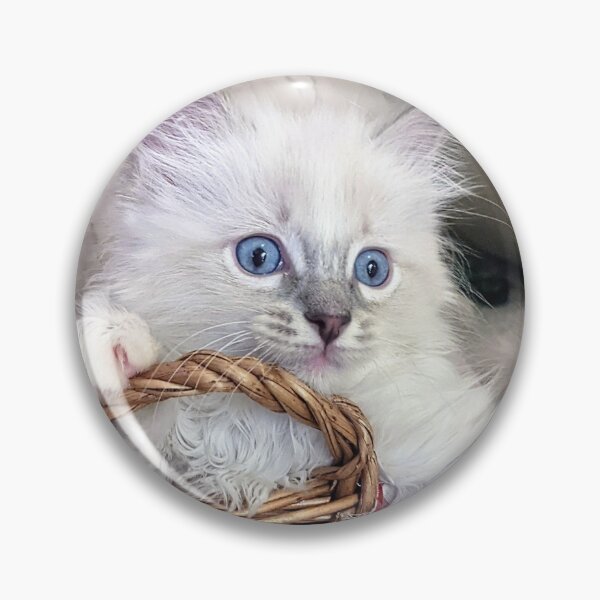 Item preview, Lynx ragdoll kitten designed and sold by Fluffycat2020.