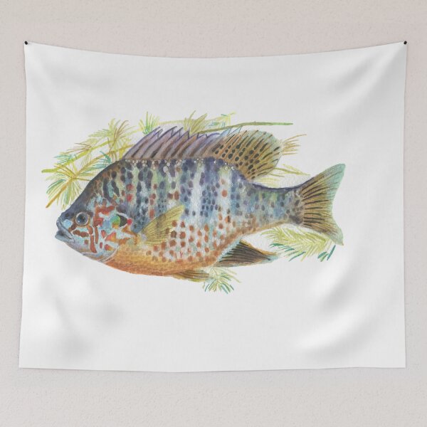 Item preview, Pumpkinseed Sunfish designed and sold by Mal Muratori.