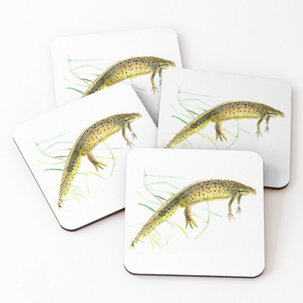 Item preview, Red Spotted Newt designed and sold by Mal Muratori.