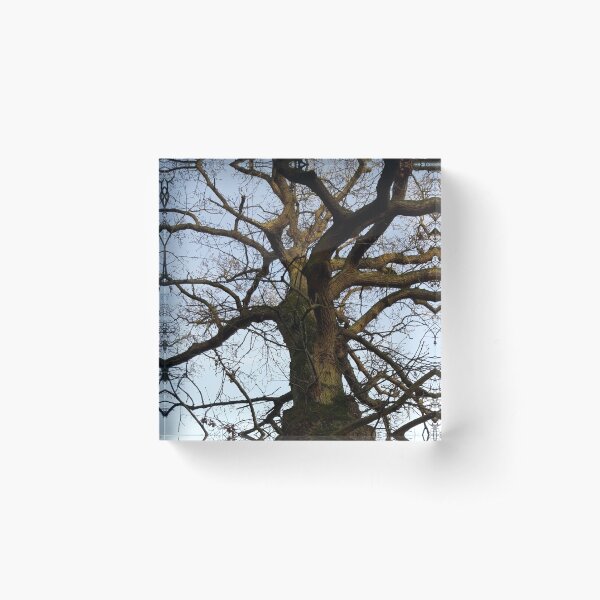 Item preview, Tree in Winter  designed and sold by amanda150771.
